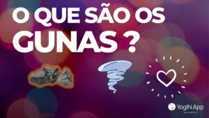 Os que são os gunas