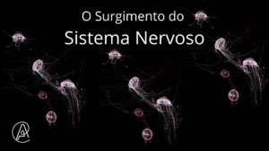 Como surgiu o sistema nervoso