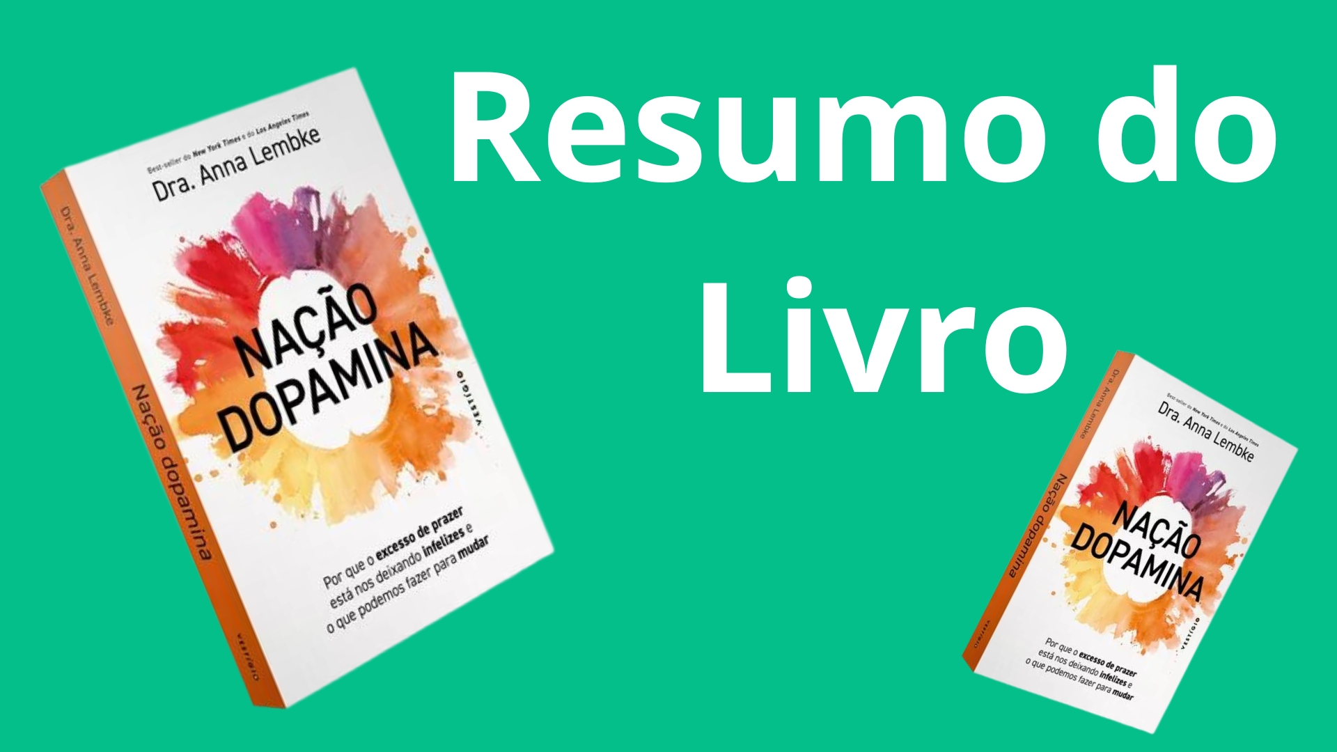 Nação Doapmina Resumo do Livro