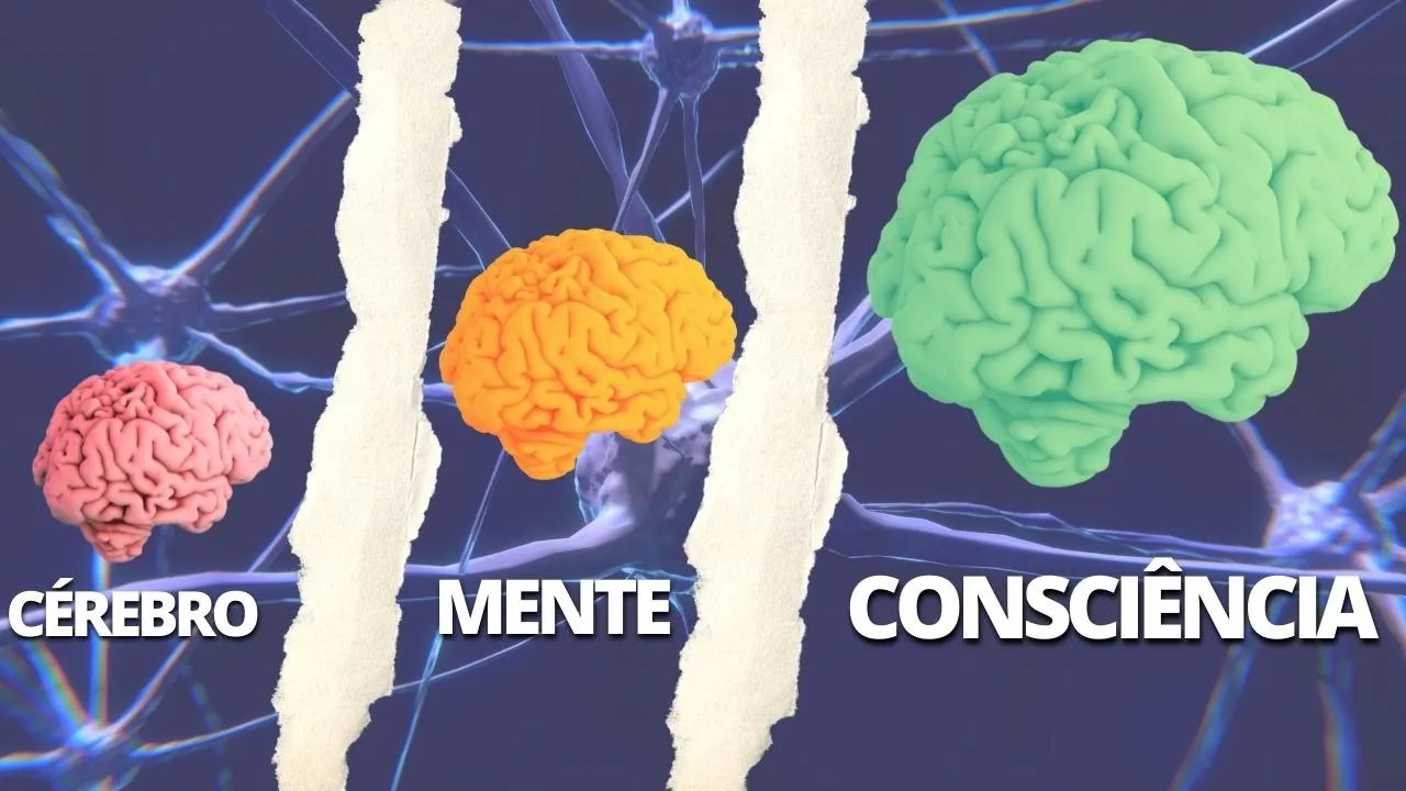 Cérebro, Mente e Consciência