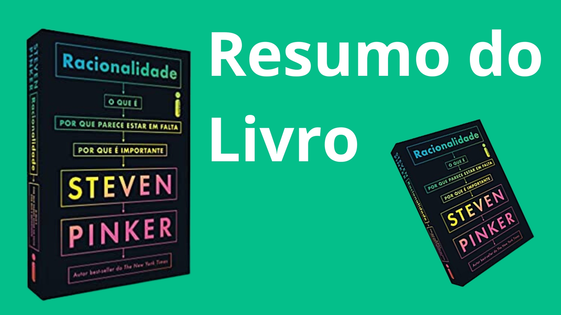 Racionalidade O que é, por que parece estar em falta, por que é importante de Steven Pinker Resumo do Livro