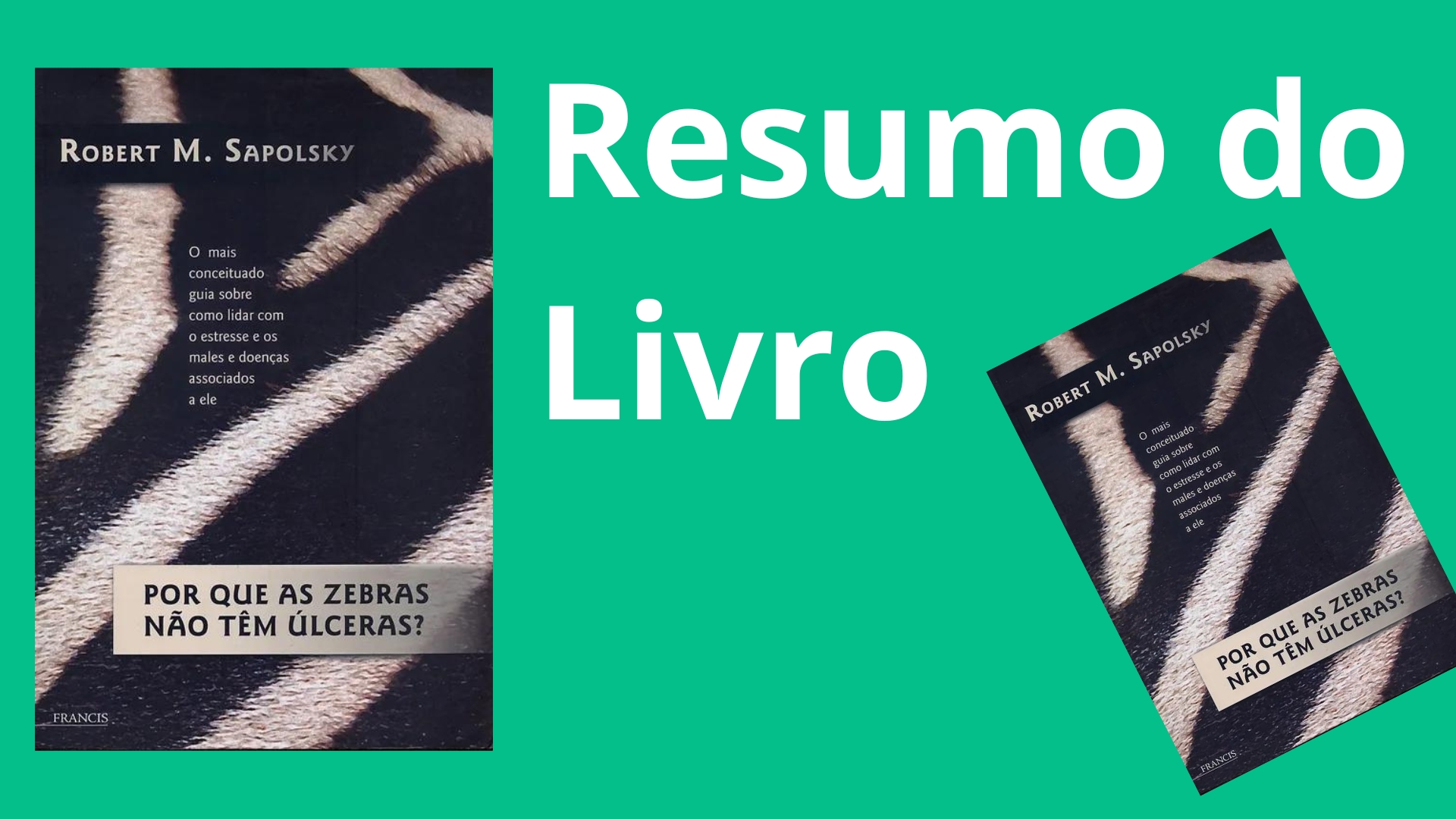 Por que as Zebras Não Têm Úlceras - Resumo do Livro