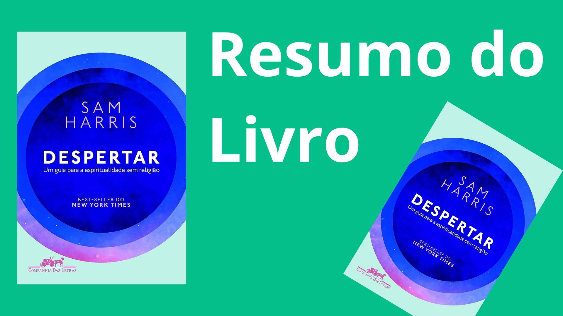 Resumo do Livro "Despertar" de Sam Harris