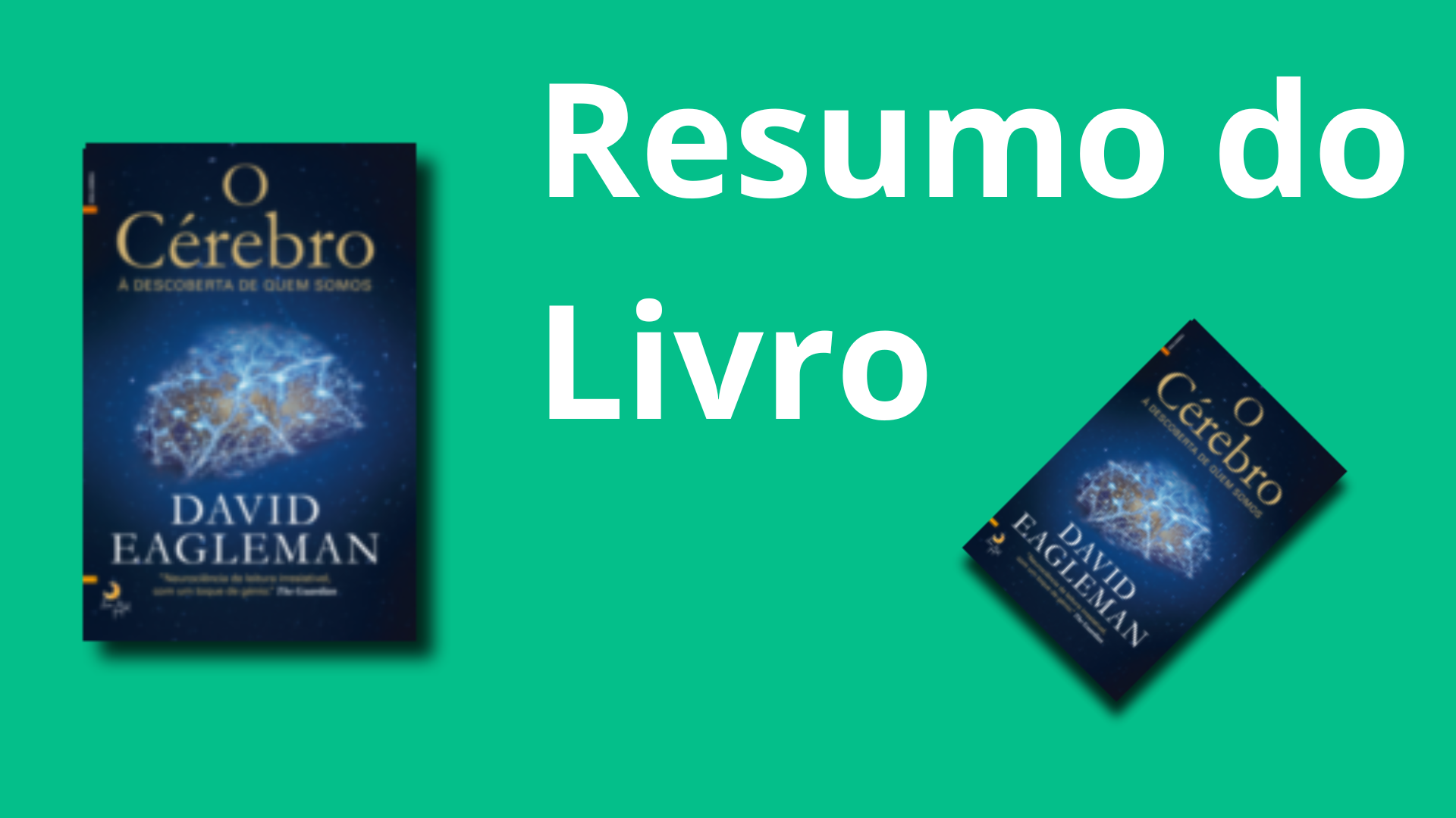 Resumo do Livro O Cérebro – À Descoberta de Quem Somos de David Eaglemen