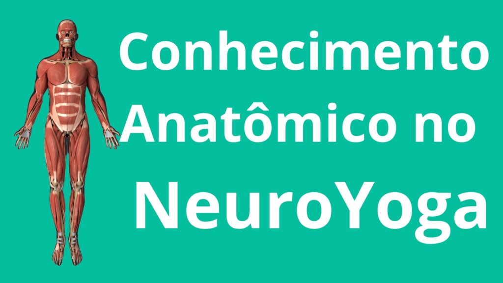 Conhecimento Anatômico no Yoga com Neurociência