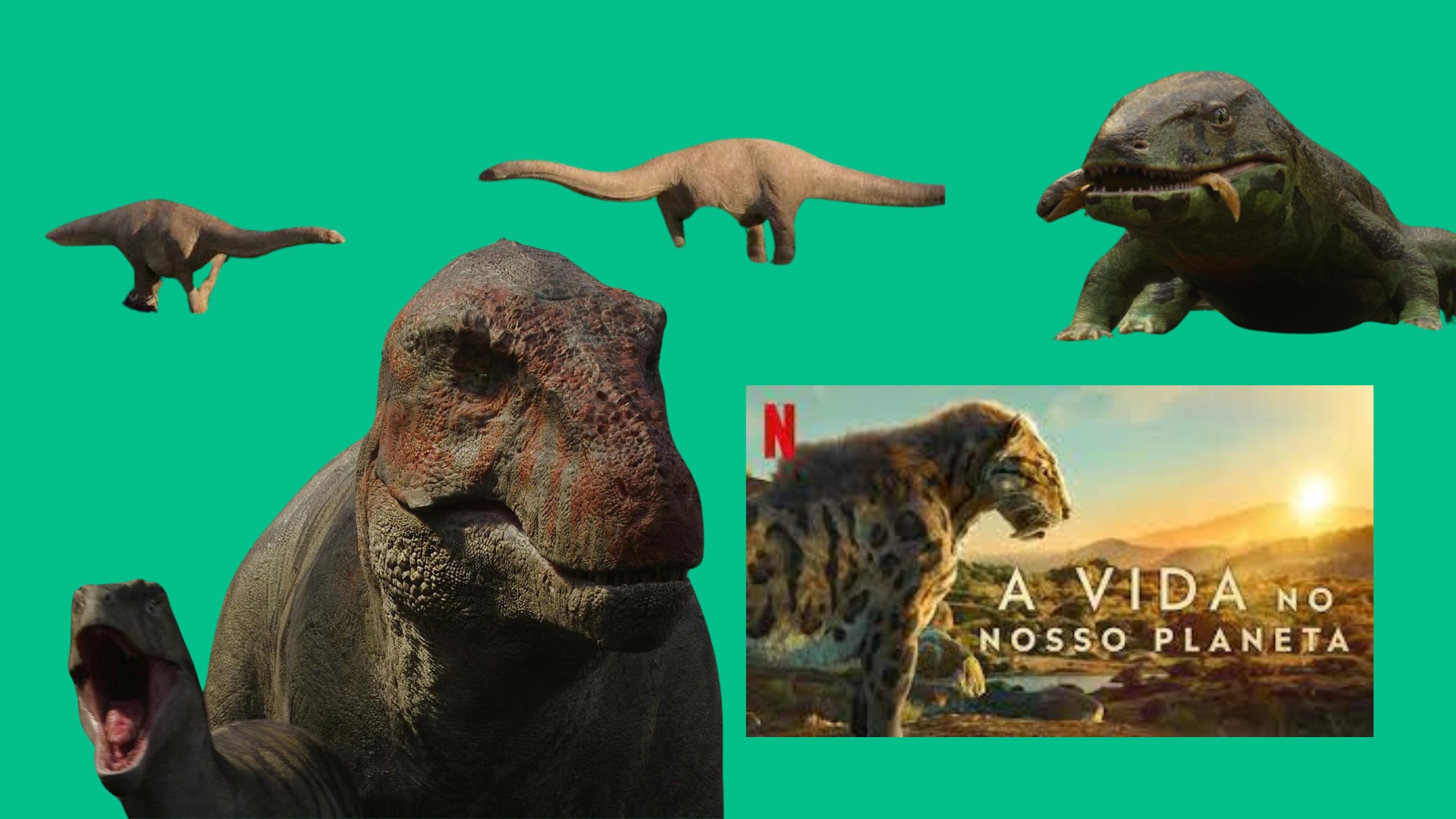 A Vida no Nosso Planeta