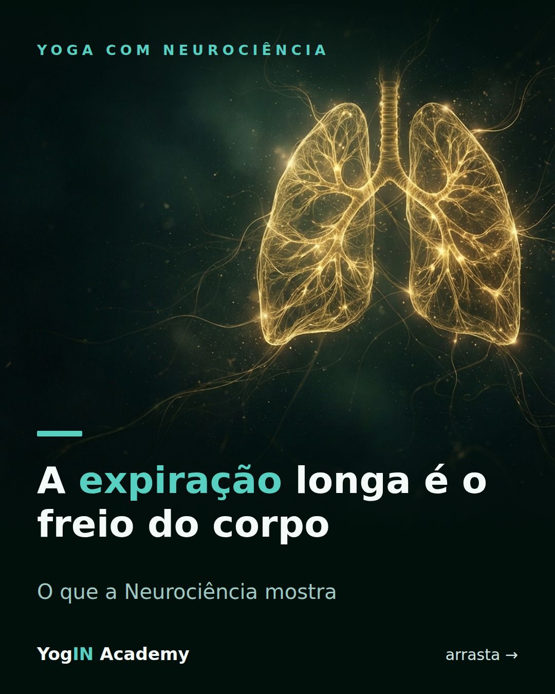 Post do Instagram sobre expiração longa e nervo vago