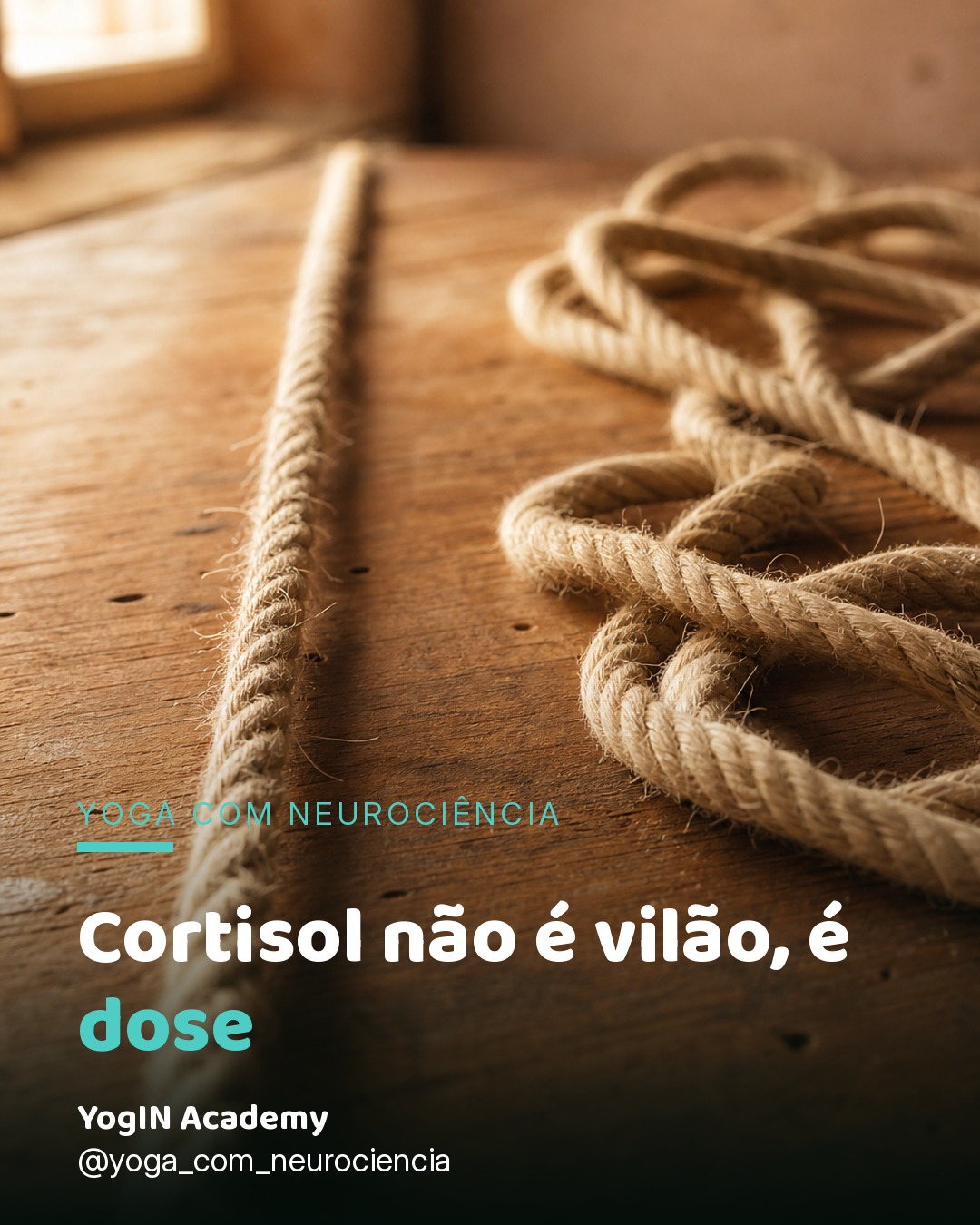 Post no Instagram de @yoga_com_neurociencia